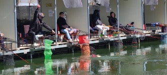 당골낚시터 유료낚시터 > ~~~조황정보~~~ : 낚시사랑