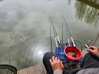 안성 거청낚시터 유료낚시터 > 4월 15일 거청낚시터 붕어조황 : 낚시사랑