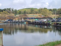 남전지기 유료낚시터 > 주말조황 및 방류소식 : 낚시사랑