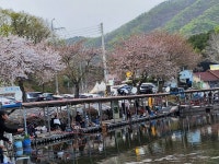 동교낚시터 유료낚시터 > 포천동교낚시터입니다 : 낚시사랑