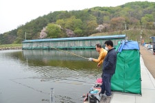 상덕낚시터 유료낚시터 > [상덕낚시터] 4월 2주차 이야기 - 용인 상덕 : 낚시사랑