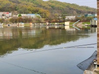 안성 거청낚시터 유료낚시터 > 4월 19일 거청낚시터 붕어조황 : 낚시사랑