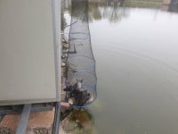 안성 거청낚시터 유료낚시터 > 4월 19일 거청낚시터 붕어조황 : 낚시사랑