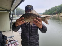 용담낚시터 유료낚시터 > 4짜 30마리! 용담의 봄붕어가 움직입니다!! : 낚시사랑