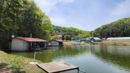 용담낚시터 유료낚시터 > 4짜 30마리! 용담의 봄붕어가 움직입니다!! : 낚시사랑