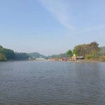 용대리낚시터 유료낚시터 > 목요 조황 및 방류!!! : 낚시사랑