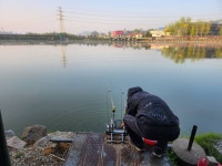 안성 거청낚시터 유료낚시터 > 4월 28 일 거청낚시터 붕어조황 : 낚시사랑