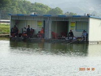 오빈낚시터 유료낚시터 > ~~~자리편차없이 아주좋은 조황 보이고 있습니다~~~ : 낚시사랑