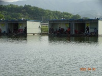 오빈낚시터 유료낚시터 > ~~~자리편차없이 아주좋은 조황 보이고 있습니다~~~ : 낚시사랑