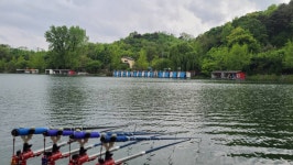 양평수곡낚시터 유료낚시터 > 4월과 5월 사이 힐링 수곡낚시터 호조황도, 대물붕어 54cm 대물조황도 있었습니다 : 낚시사랑