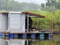 고삼지 양촌 유료낚시터 > 고삼지 또 한번의 대물 혹부리 사짜 등장!! : 낚시사랑