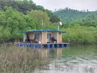 서울좌대 유료낚시터 > 송전지서울좌대5월8일조황 : 낚시사랑