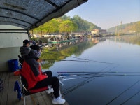 남전지기 유료낚시터 > 주말연휴조황 및 방류소식 : 낚시사랑