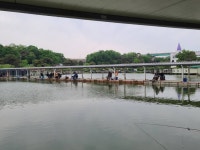 고잔낚시터 유료낚시터 > 고잔낚시터 소식입니다. : 낚시사랑