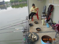 오빈낚시터 유료낚시터 > ~~~아주좋은 조황 보이고 있으며 찌올림 좋습니다~~~ : 낚시사랑