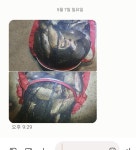 쌍방죽낚시터 유료낚시터 > 쌍방죽 행복한 소식 : 낚시사랑