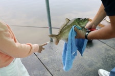 새마을낚시터 유료낚시터 > 물 반 고기 반 : 낚시사랑