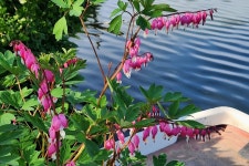 새마을낚시터 유료낚시터 > 물 반 고기 반 : 낚시사랑