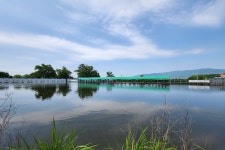 새마을낚시터 유료낚시터 > 물 반 고기 반 : 낚시사랑