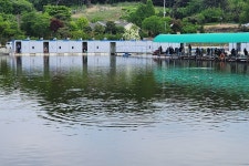 새마을낚시터 유료낚시터 > 물 반 고기 반 : 낚시사랑