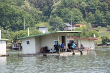 어우실지. 유료낚시터 > **** 주중 조황 정보 전합니다 ***** : 낚시사랑