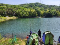 신기 낚시터 유료낚시터 > 신기낚시터 5월 셋 째주 조황정보 : 낚시사랑