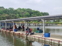 고잔낚시터 유료낚시터 > 고잔낚시터 주말 소식입니다. : 낚시사랑