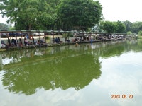 오빈낚시터 유료낚시터 > ～～～자리편차 없는 주말이었으며 현제 아주 좋은 조황 보이고 있습니다 ～～～ : 낚시사랑