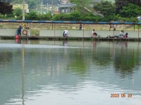 오빈낚시터 유료낚시터 > ～～～자리편차 없는 주말이었으며 현제 아주 좋은 조황 보이고 있습니다 ～～～ : 낚시사랑