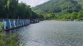 양평수곡낚시터 유료낚시터 > 힐링 수곡낚시터 셋째주후반 주말 조황 및 붕어방류 : 낚시사랑