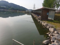 안성 거청낚시터 유료낚시터 > 5월 25일 안성 거청낚시터 붕어조황 : 낚시사랑