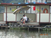 오빈낚시터 유료낚시터 > ~~~ 기복없이 꾸준한 조황 보이고 있습니다 ~~~ : 낚시사랑