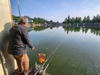 안성 거청낚시터 유료낚시터 > 5월 26일 안성 거청낚시터 붕어조황 : 낚시사랑