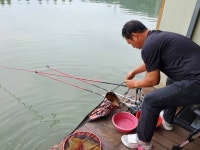 안성 거청낚시터 유료낚시터 > 5월 27일 안성 거청낚시터 붕어조황 : 낚시사랑