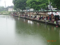 오빈낚시터 유료낚시터 > ～～～자리편차 없는 주말이었으며 현재 아주좋은 조황 보이고 있습니다 ～～～ : 낚시사랑