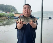 성호낚시터 유료낚시터 > 수요일 조황정보 이천성호낚시터. : 낚시사랑