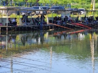 남전지기 유료낚시터 > 주말조황 및 방류소식 : 낚시사랑