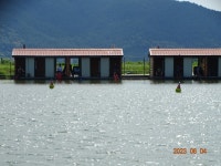 오빈낚시터 유료낚시터 > ～～～폭발적인 주말조황이었으며 현제 아주 좋은 조황 보이고 있습니다 ～～～ : 낚시사랑