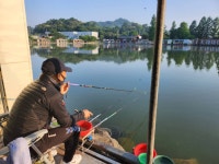 안성 거청낚시터 유료낚시터 > 6 월 6 일 배수없는 거청낚시터 조황 : 낚시사랑