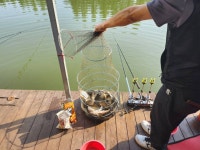 안성 거청낚시터 유료낚시터 > 6 월 6 일 배수없는 거청낚시터 조황 : 낚시사랑