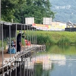 한일지기 유료낚시터 > **한일낚시터 주말 더블 방류** : 낚시사랑