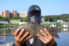 내동지 유료낚시터 > *** 4짜 잘나옵니다 *** : 낚시사랑