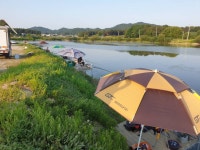 성호낚시터 유료낚시터 > 성호낚시터 뉴~스. : 낚시사랑