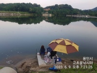 고초골낚시터 유료낚시터 > 고초골 조황 및 어자원 방류상황 : 낚시사랑