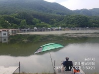 고초골낚시터 유료낚시터 > 고초골 조황 및 어자원 방류상황 : 낚시사랑