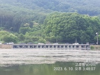 고초골낚시터 유료낚시터 > 고초골 조황 및 어자원 방류상황 : 낚시사랑