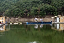 마둔지기 유료낚시터 > 6월 11일 마둔지 : 낚시사랑