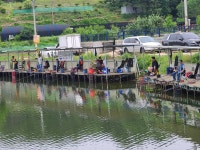 남전지기 유료낚시터 > 주말조황 및 방류소식 : 낚시사랑