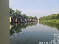 당골낚시터 유료낚시터 > ~~~조황정보~~~ : 낚시사랑