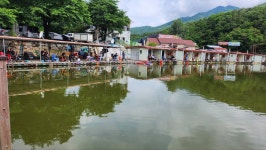 동교낚시터 유료낚시터 > 포천동교낚시터입니다 : 낚시사랑